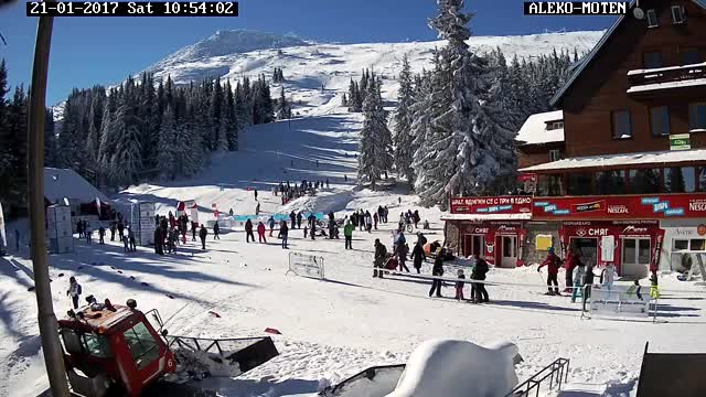 Турдом Алеко, Витоша